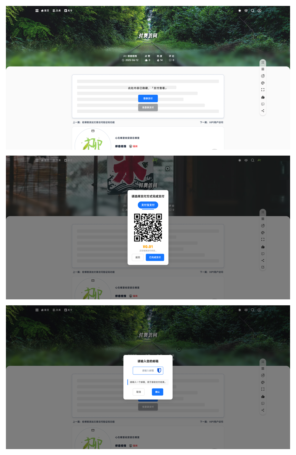 限制阅读演示-支付访问.png